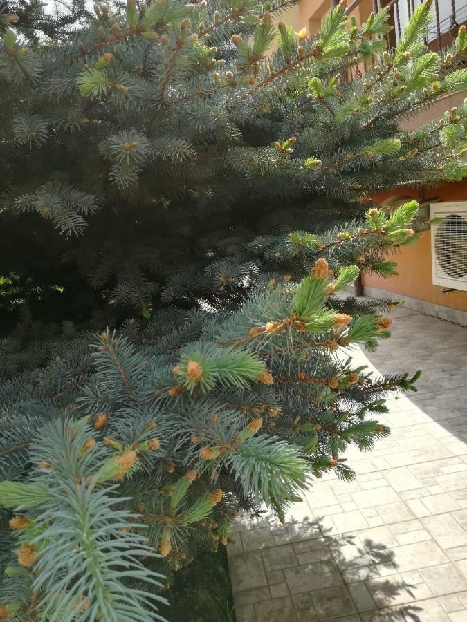Hotel Dalia Neszebar Kültér fotó