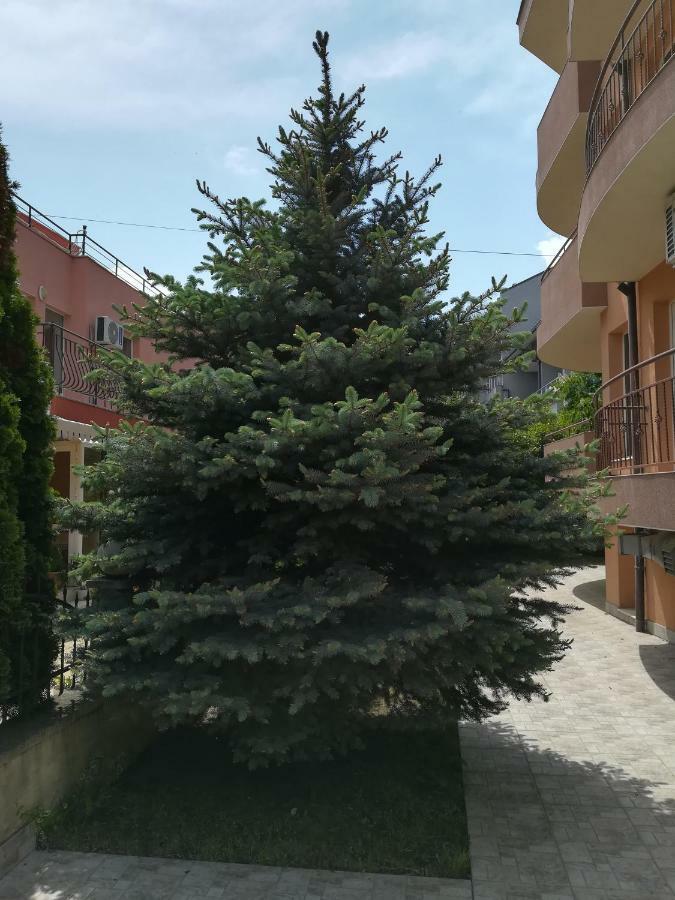 Hotel Dalia Neszebar Kültér fotó